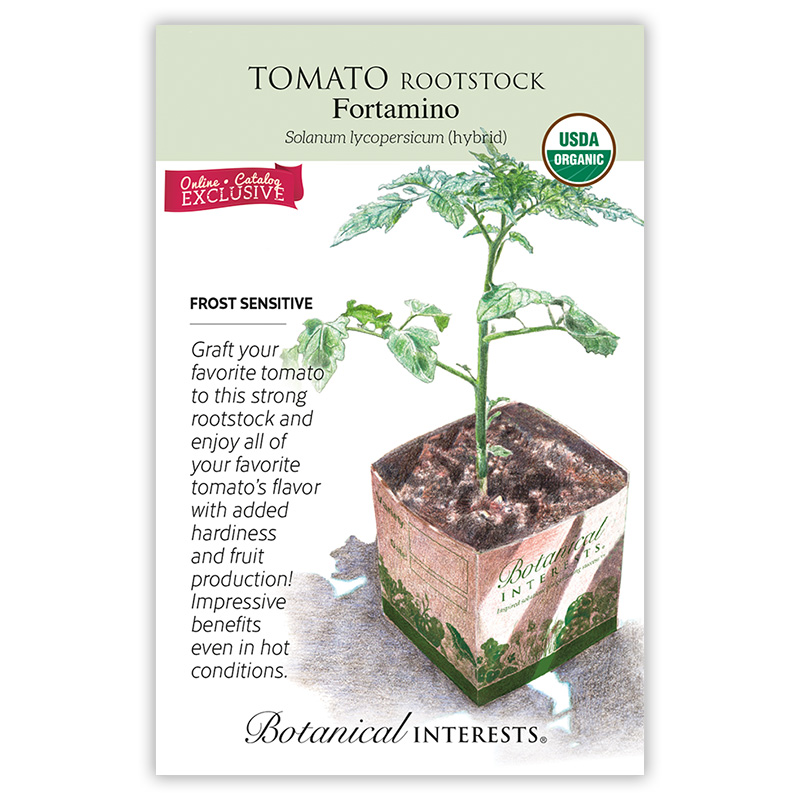 Fortamino Rootstock Tomato Seeds view 3