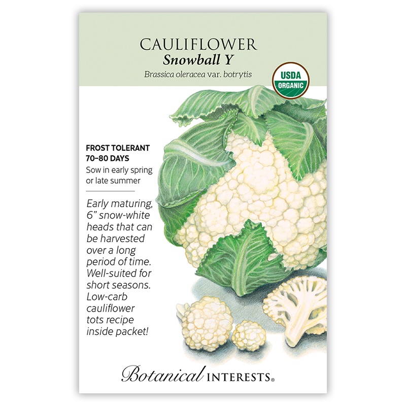 Snowball Y Cauliflower Seeds      view 3