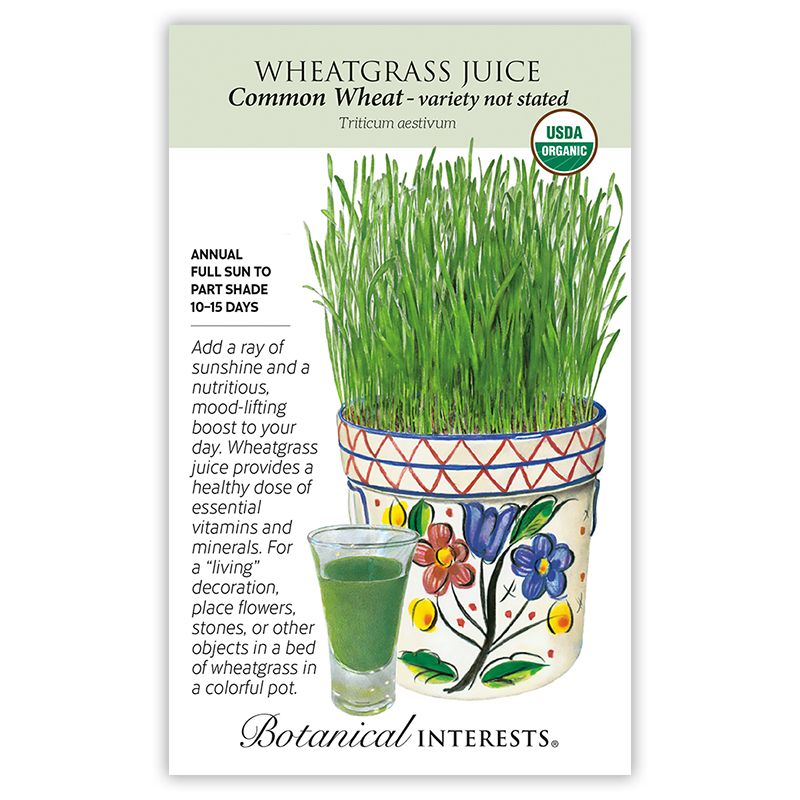 Wheatgrass Juice Seeds      view 3