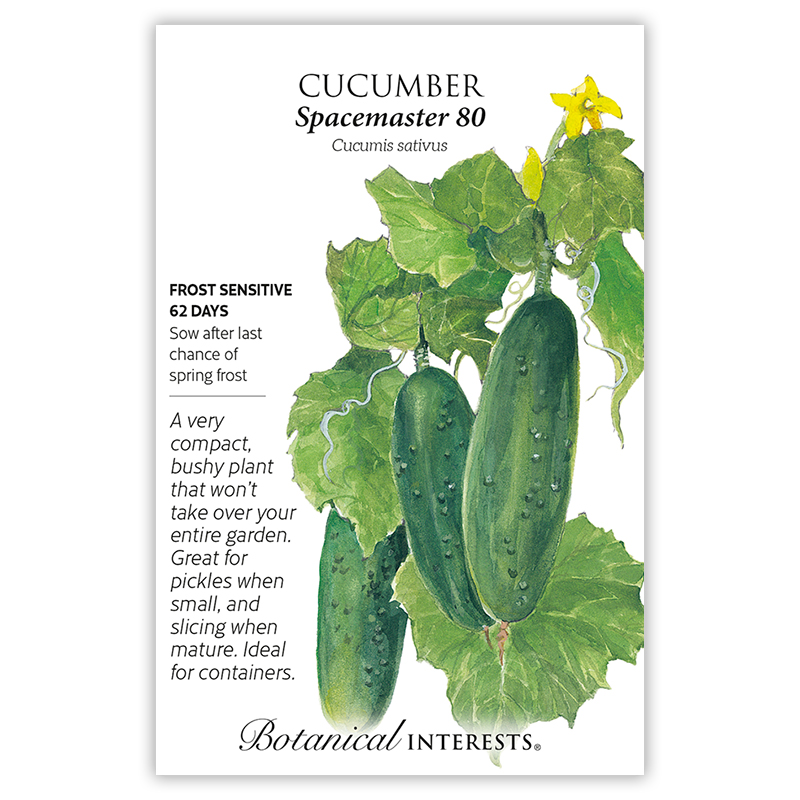 Spacemaster 80 Cucumber Seeds view 3