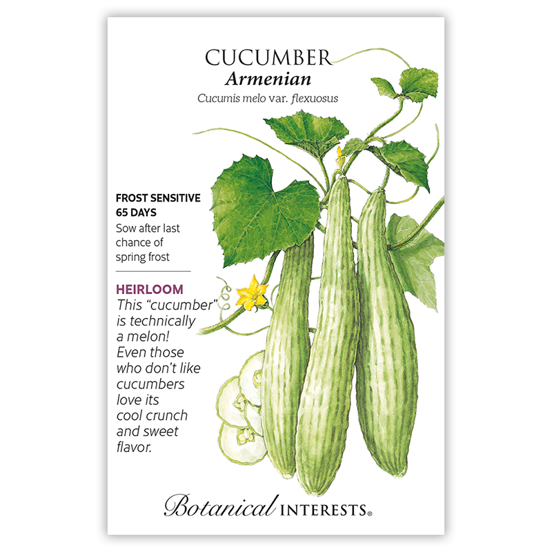 Armenian Cucumber Seeds view 3