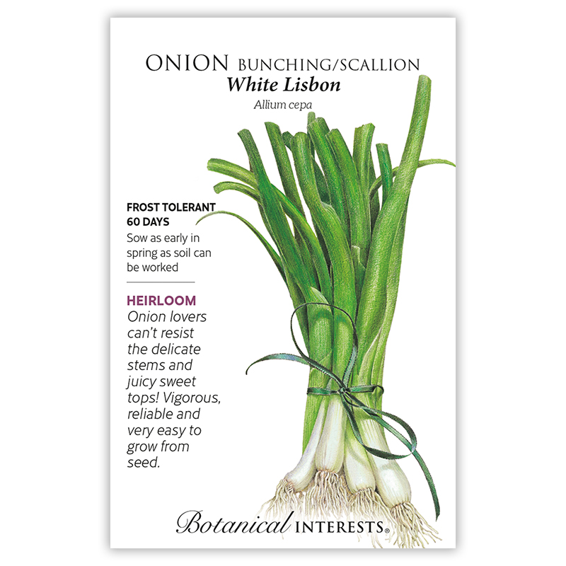 White Lisbon Bunching/Scallion Onion Seeds     view 3