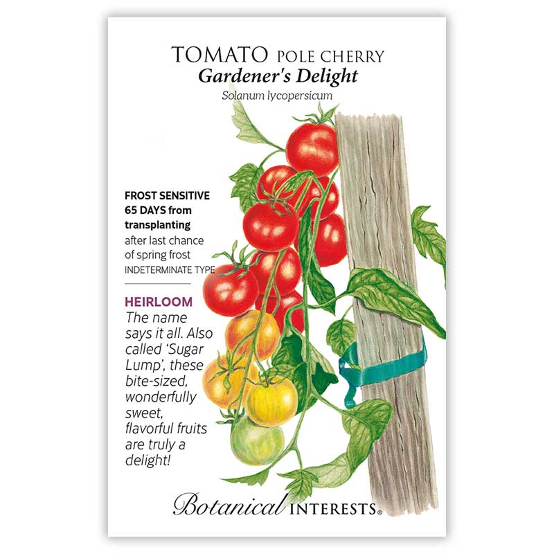 Gardener's Delight Pole Cherry Tomato Seeds view 3