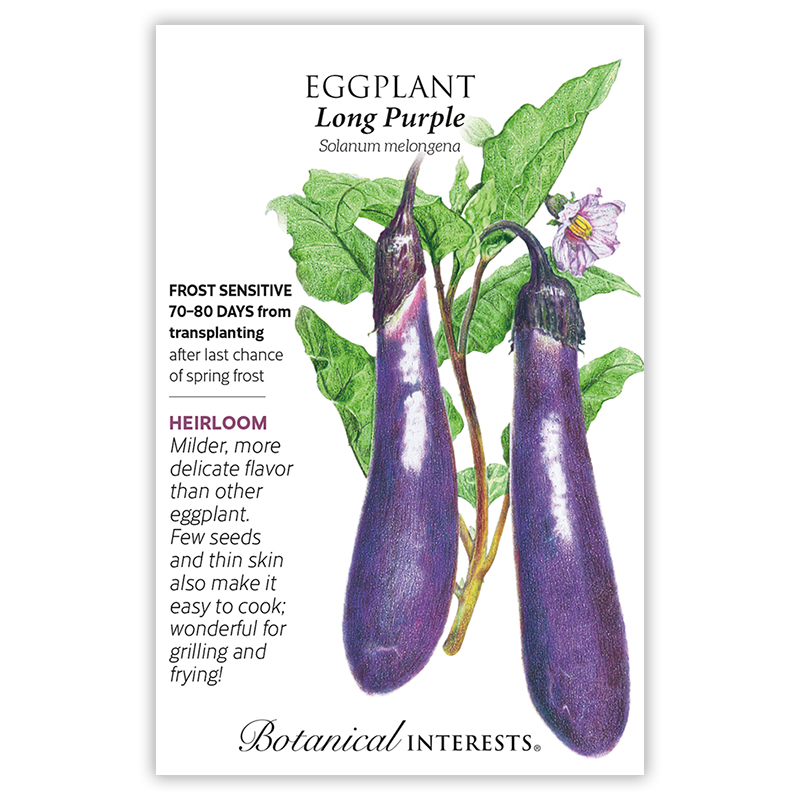 Long Purple Eggplant Seeds view 3