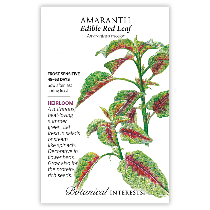 Edible Red Leaf Amaranth Seeds view 3