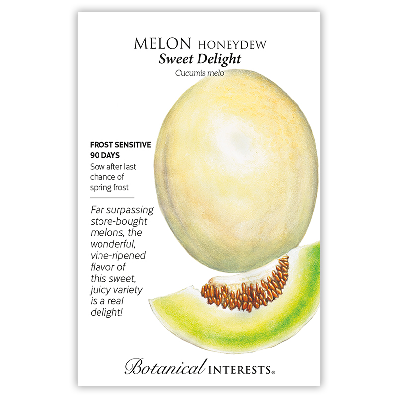 Sweet Delight Honeydew Melon Seeds view 3