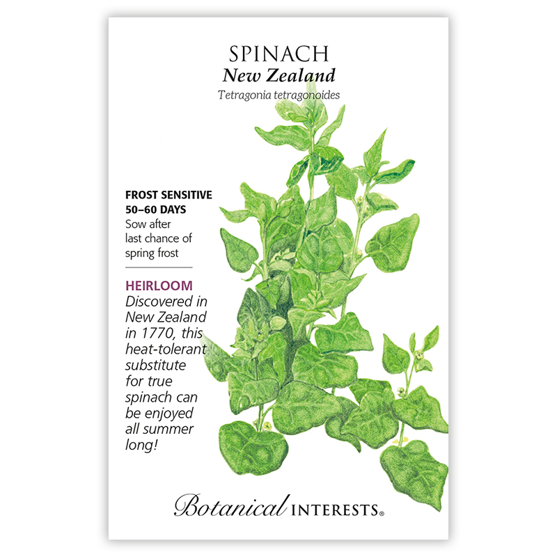 New Zealand Spinach Seeds view 3