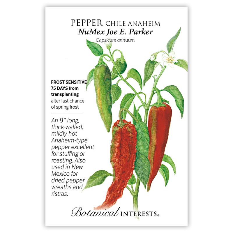 NuMex Joe E. Parker Chile Anaheim Pepper Seeds view 3