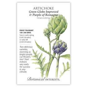 Green Globe Improved & Purple of Romagna Artichoke Seeds view 3
