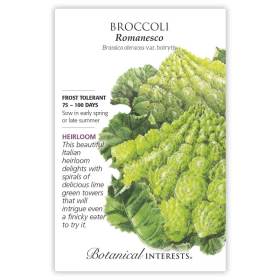 Romanesco Broccoli Seeds view 3