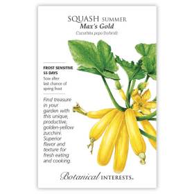 Max's Gold Summer Squash Seeds view 3