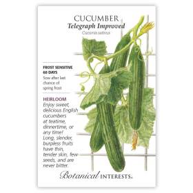 Telegraph Improved Cucumber Seeds view 3