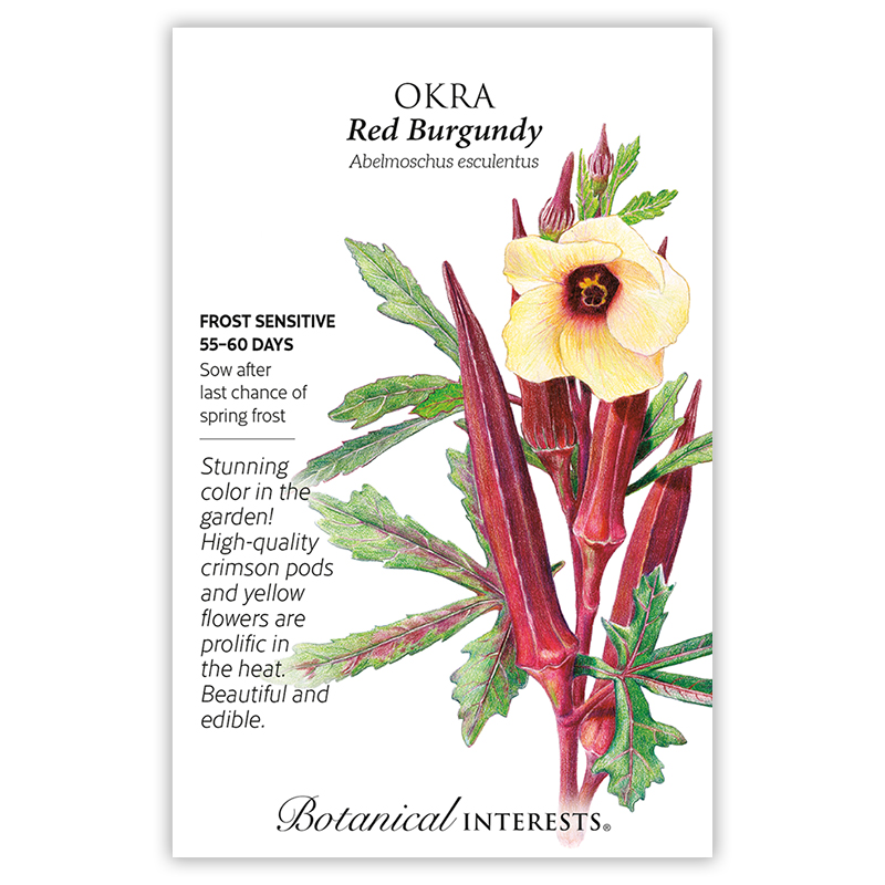 Red Burgundy Okra Seeds view 3
