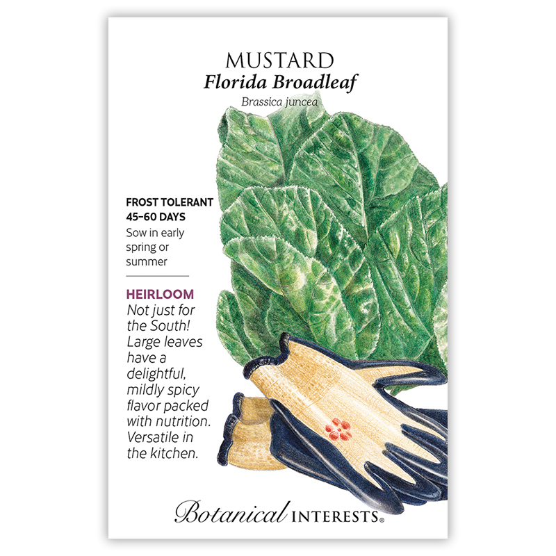 Florida Broadleaf Mustard Seeds view 3