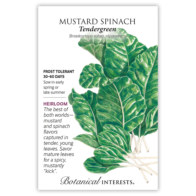 Tendergreen Mustard Spinach Seeds view 3