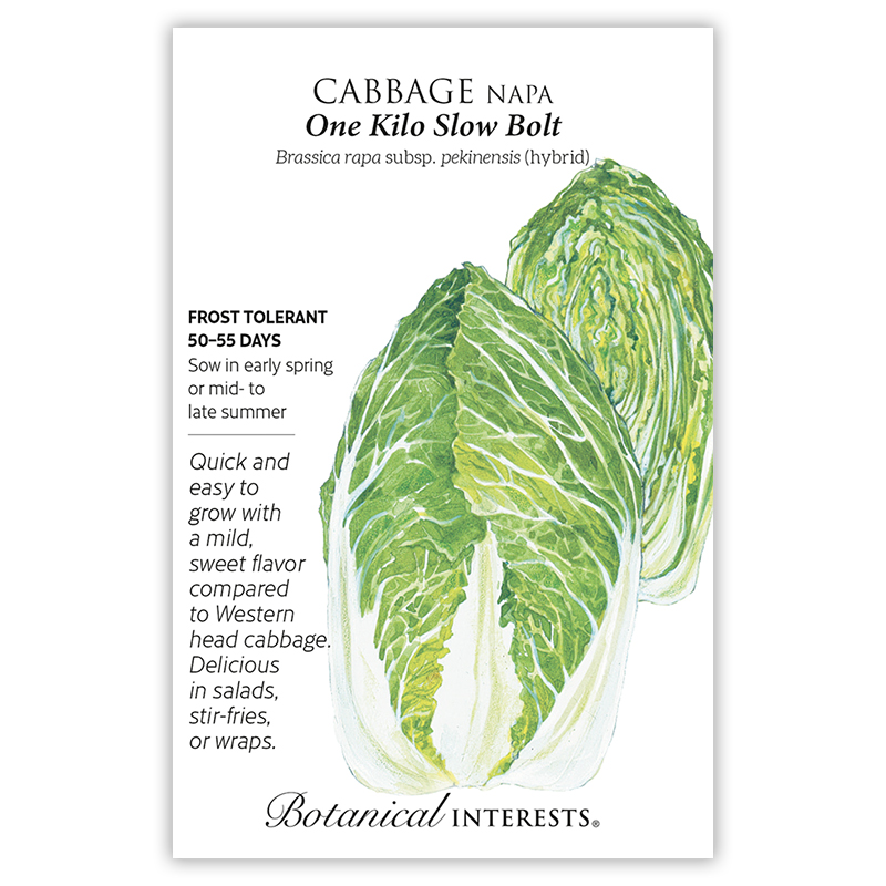 One Kilo Slow Bolt Napa Cabbage Seeds view 3