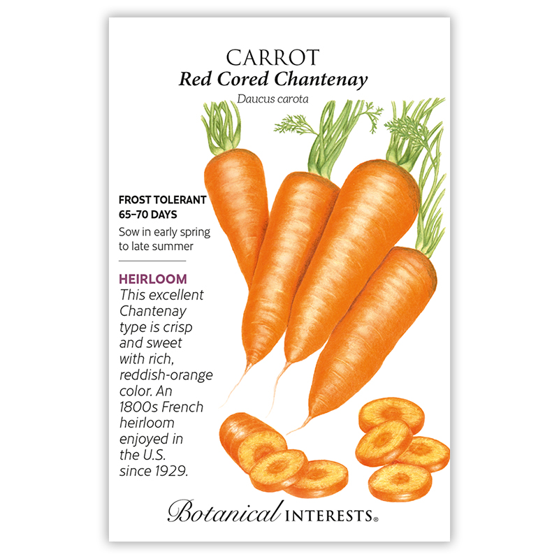 Red Cored Chantenay Carrot Seeds view 3