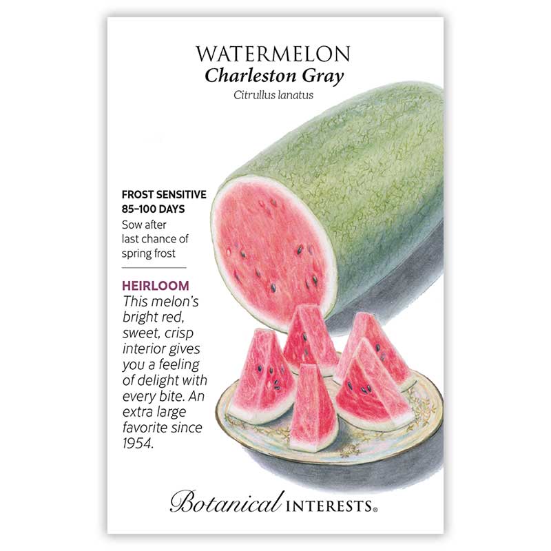 Charleston Gray Watermelon Seeds view 3