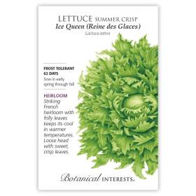 Ice Queen (Reine des Glaces) Summer Crisp Lettuce Seeds view 3