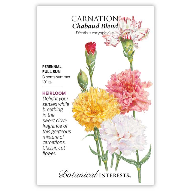 Chabaud Blend Carnation Seeds       view 3