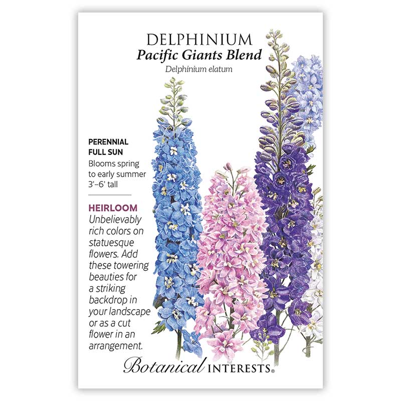 Pacific Giants Blend Delphinium Seeds      view 3