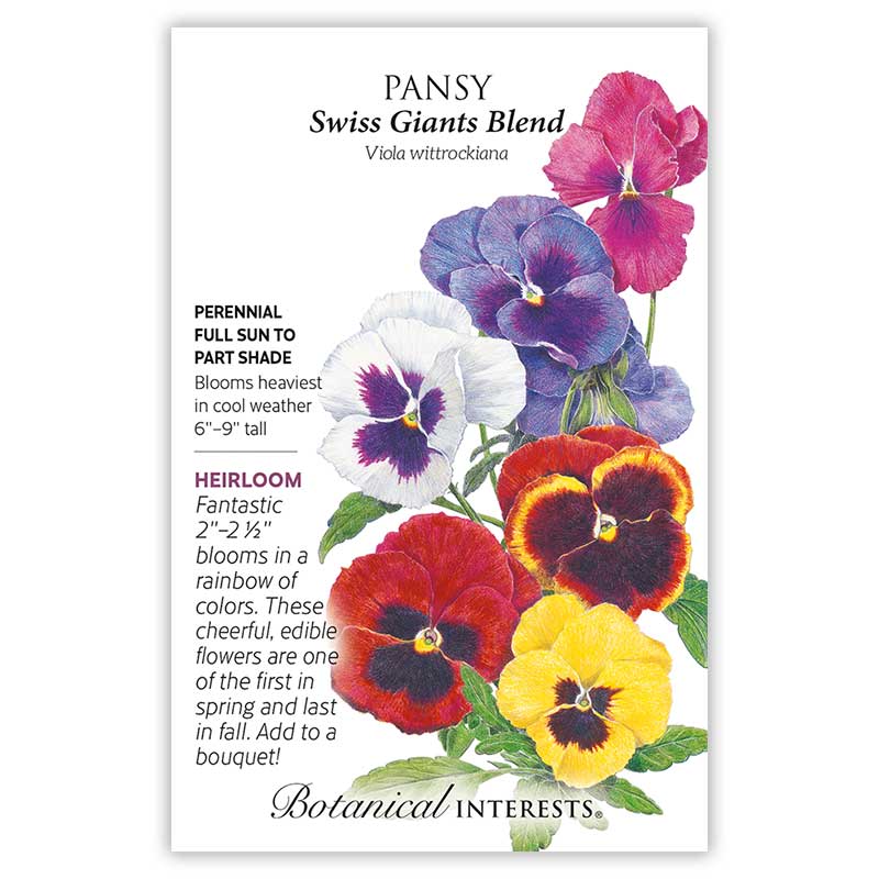 Swiss Giants Blend Pansy Seeds     view 3