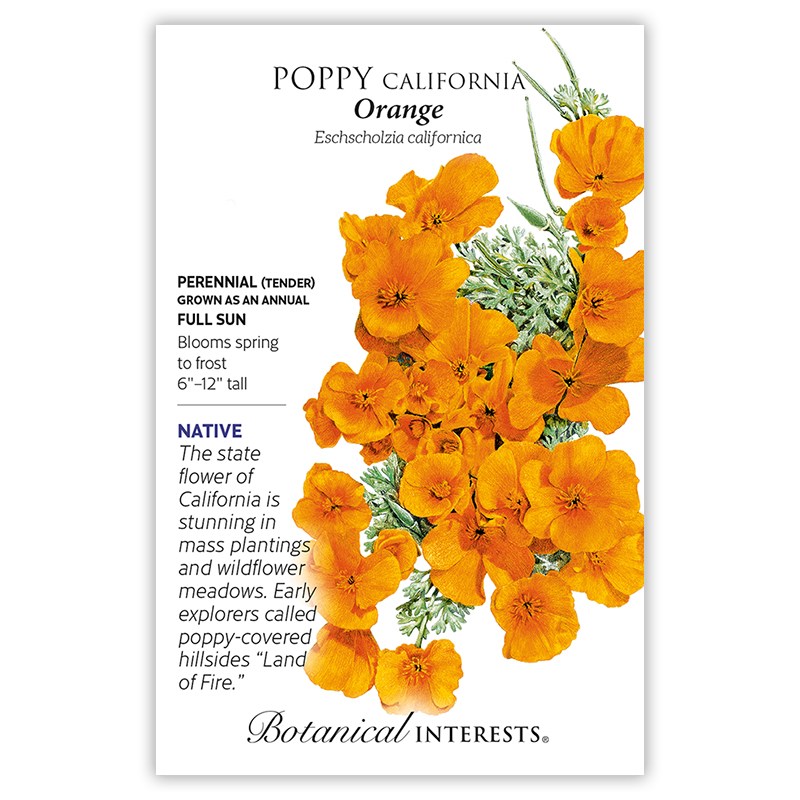 Orange California Poppy Seeds      view 3