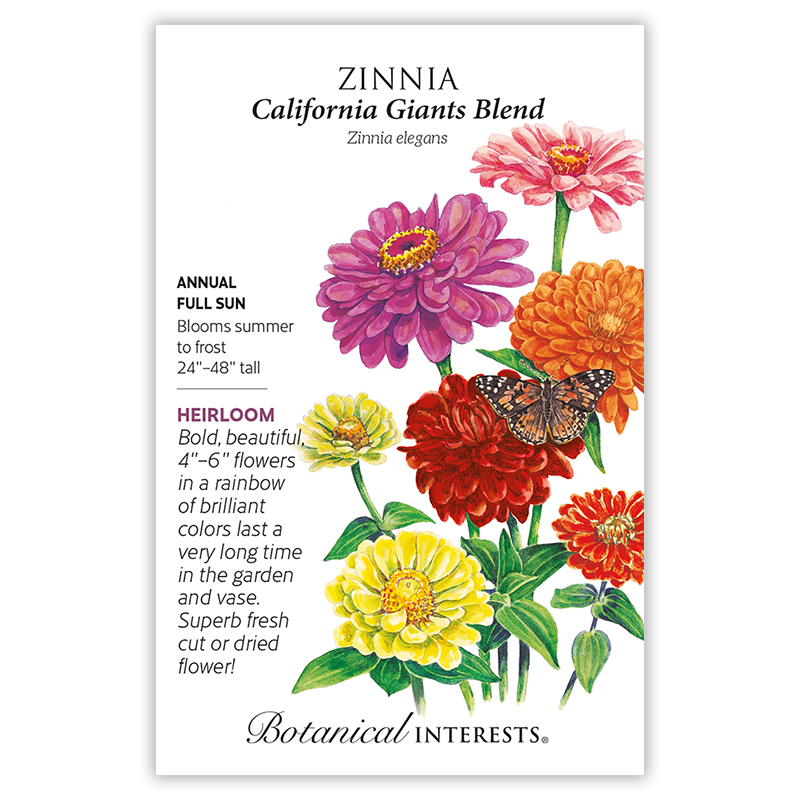 Annual Flower Zinnia California Giant Mix Seeds Zinnia elegans