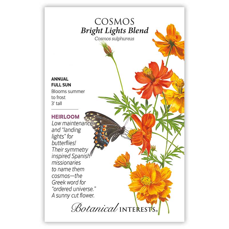 Bright Lights Blend Cosmos Seeds     view 3