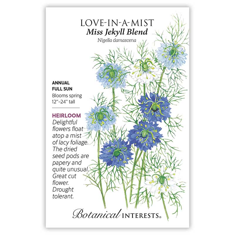 Miss Jekyll Blend Love-In-A-Mist  Seeds    view 3