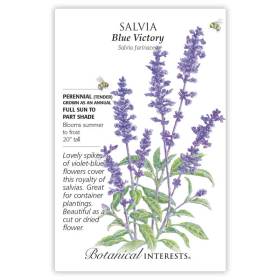 Blue Victory Salvia Seeds      view 3
