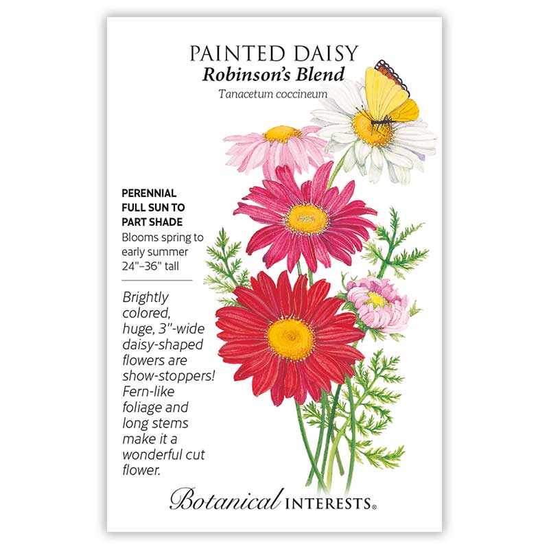 Robinson's  Blend Painted Daisy Seeds    view 3
