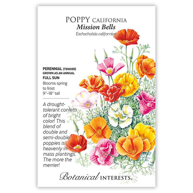 Mission Bells California Poppy Seeds     view 3