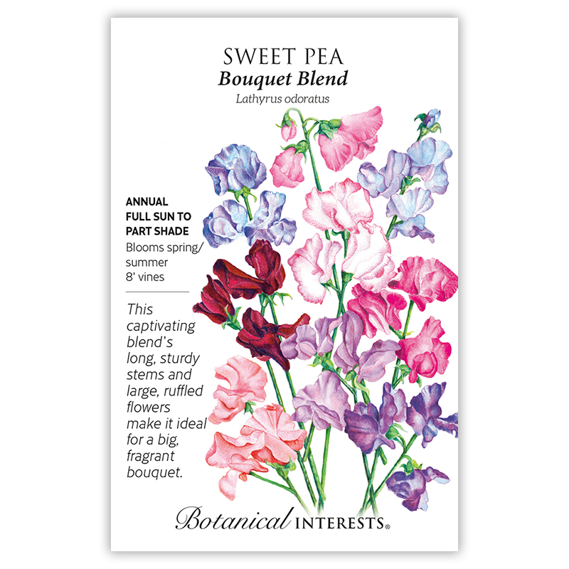Bouquet Blend Sweet Pea Seeds view 3