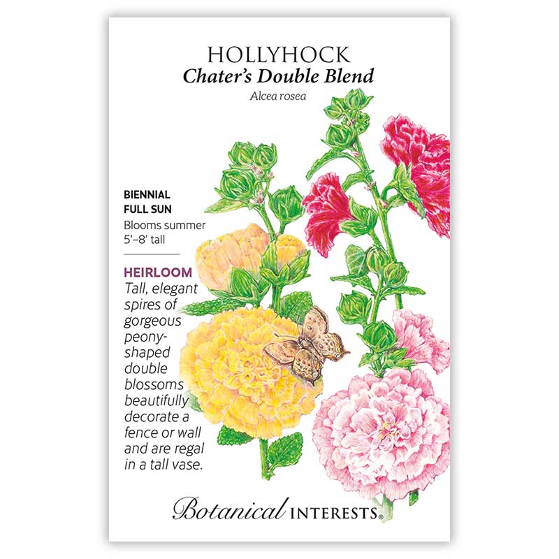 Chater's  Double Hollyhock Seeds     view 3