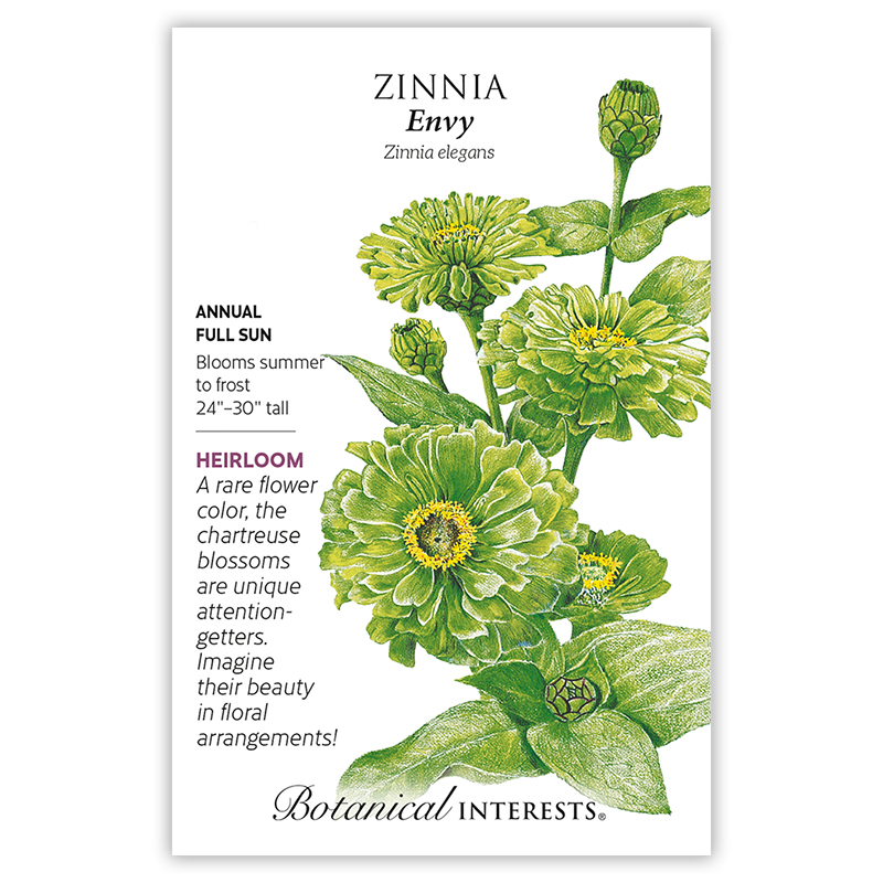 Envy Zinnia Seeds       view 3