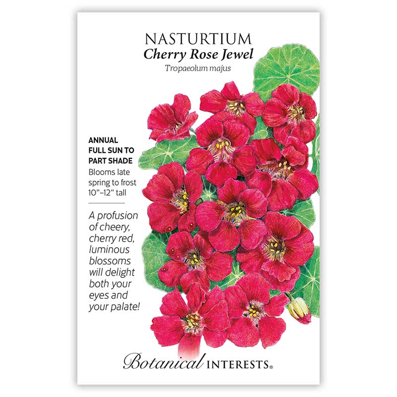 Cherry Rose Jewel Nasturtium Seeds     view 3