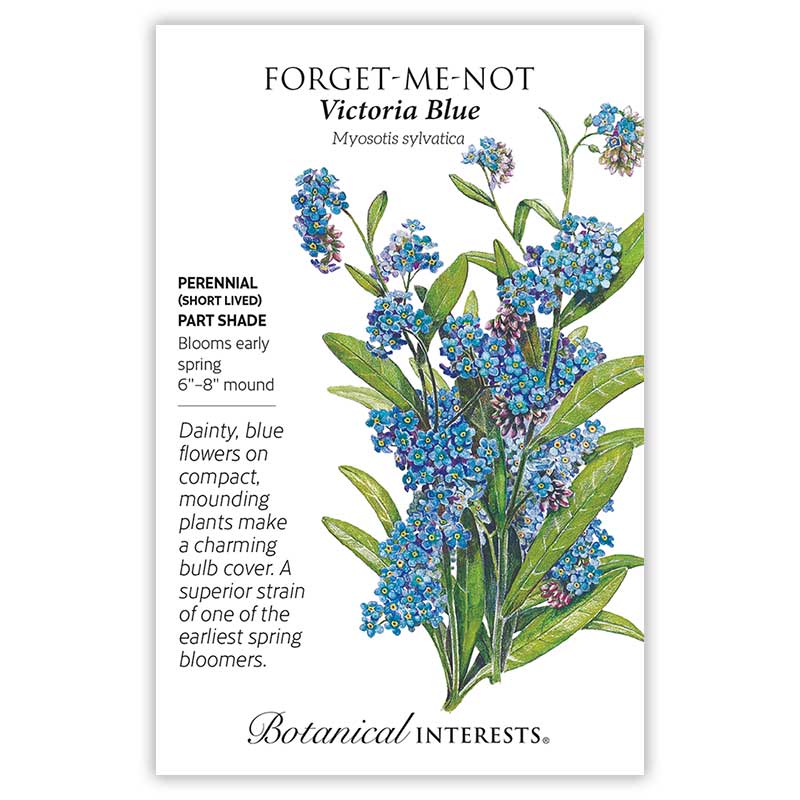 Victoria Blue Forget-Me-Not Seeds      view 3