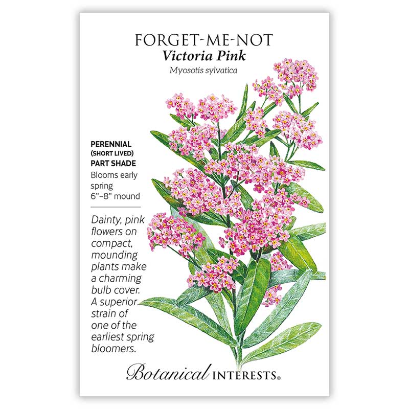 Victoria Pink Forget-Me-Not Seeds      view 3