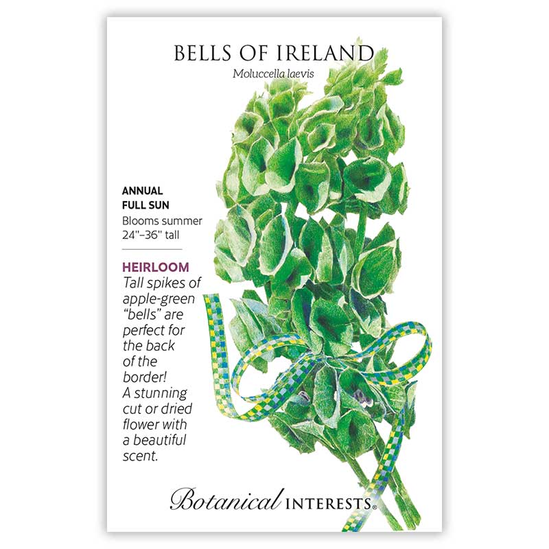 Bells of Ireland Seeds      view 3
