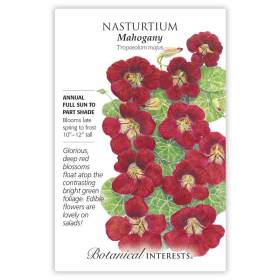 Mahogany Nasturtium Seeds       view 3