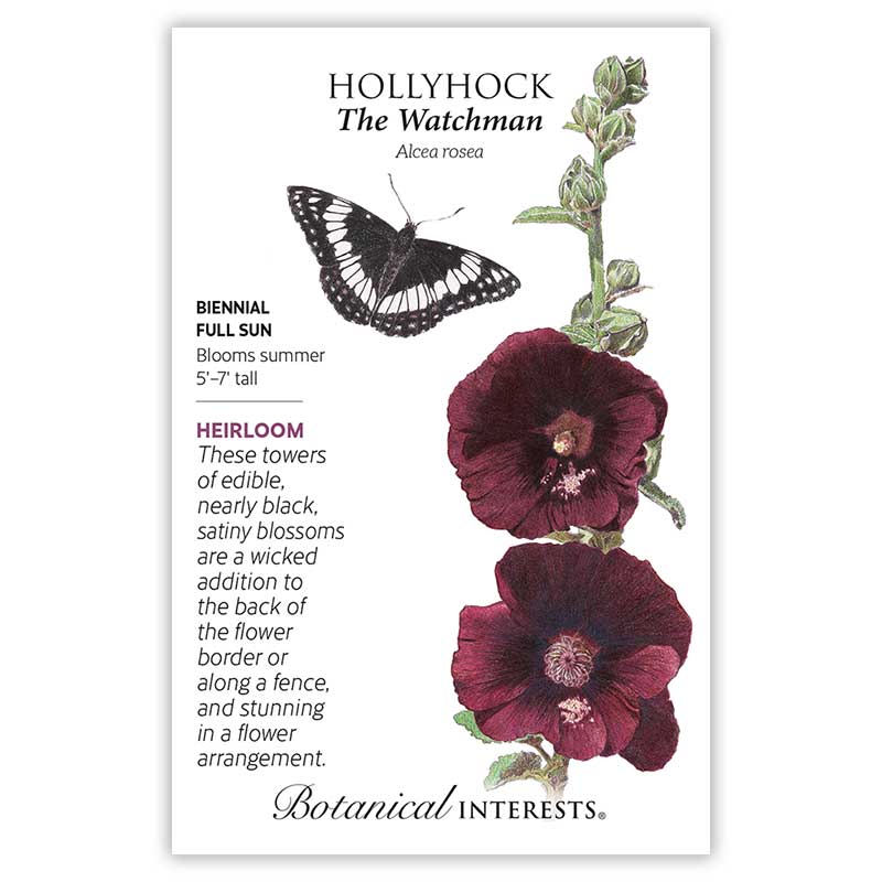 The Watchman Hollyhock Seeds      view 3