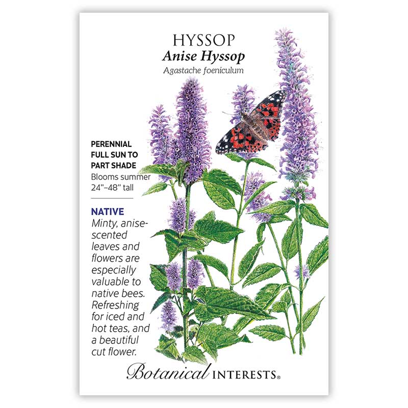 Anise Hyssop  Seeds      view 3
