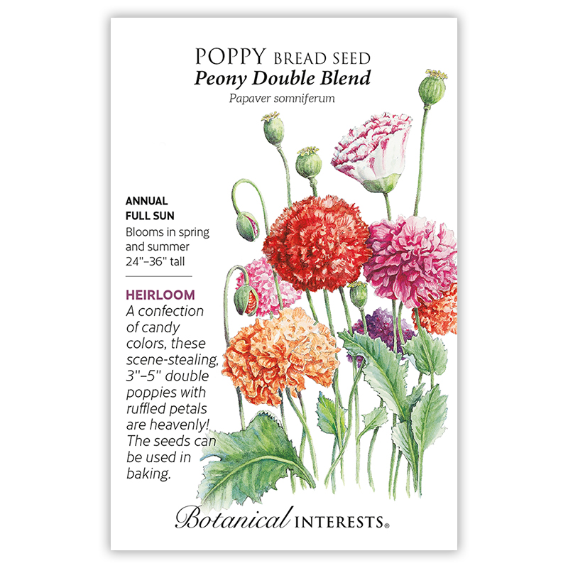 Peony Double Blend Poppy Seeds     view 3