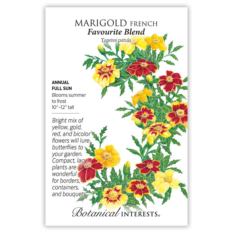 Favourite Blend French Marigold Seeds     view 3