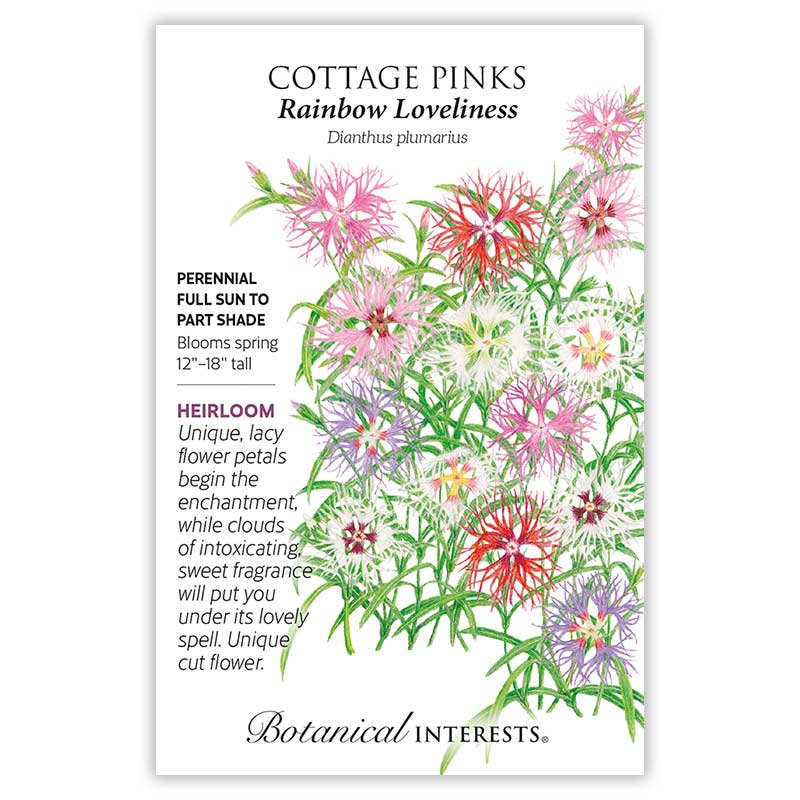 Rainbow Loveliness Cottage Pinks Seeds     view 3