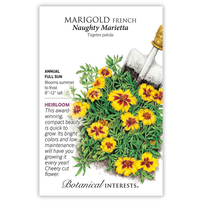 Naughty Marietta French Marigold Seeds     view 3