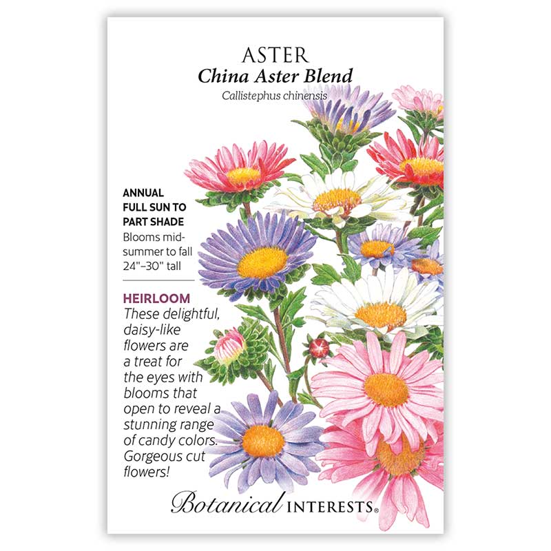China Aster Blend Aster Seeds     view 3