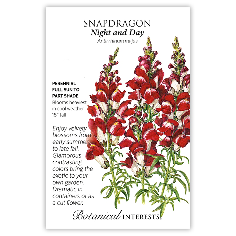 Night and Day Snapdragon Seeds     view 3
