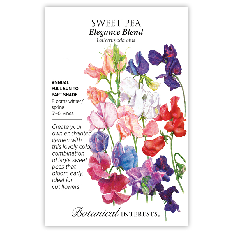 Elegance Blend Sweet Pea Seeds view 3